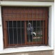 Ventanas Monoblock imitación madera ya instaladas